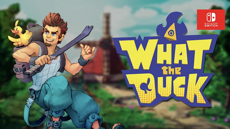 what the duck nesgm.net switch